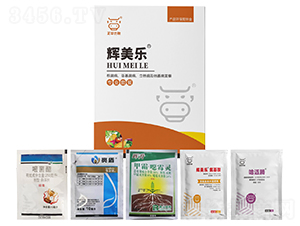 ���������o�����������ݲ�����ή���ײ�-�x����-���A����