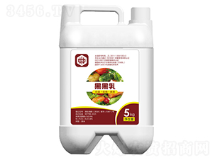 ΢�����-�ں���-��ֲ(li��n)�ϼ��F