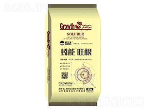 蚓能旺根-藍(lán)海