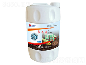 分子魚魚蛋白-藍(lán)海