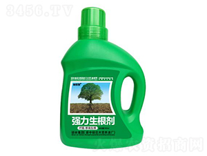 500mlǤ�塤����������(qi��ng)��������-�ֱ�ķ-�T�ַ���