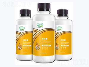 ���w��-ʢԴ