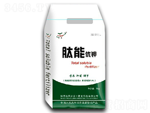 ���܃�(y��u)�-���S�r(n��ng)��