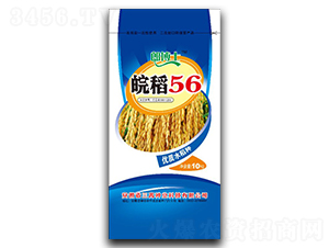 �56-ˮ���N��-���߷N�I(y��)