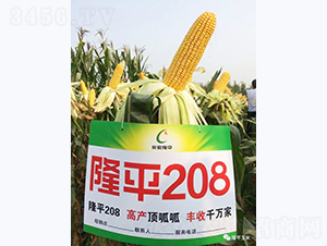 ¡ƽ208-���׷N��-���߷N�I(y��)