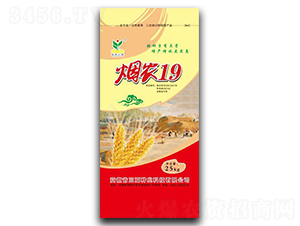 ���r(n��ng)19-С���N��-���߷N�I(y��)