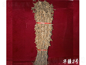 �A��2̖(h��o)-�󶹷N��-��D�N�I(y��)