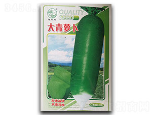 �����}��-�}���N��-�P�˷N�I(y��)