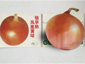 �O�����P���S��-���[�N��-�P�˷N�I(y��)