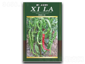 ����3̖-�����N��-�ؼt�N�I(y��)