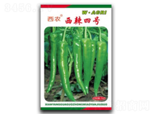 ����4̖-�����N��-�ؼt�N�I(y��)