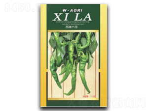 ����6̖-�����N��-�ؼt�N�I(y��)