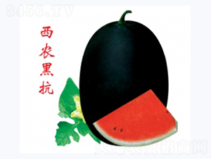 ���r(n��ng)�ڿ�-���ϷN��-�ؼt�N�I(y��)