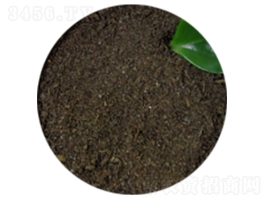 ��S��-�T������