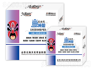 ���׿����I�B(y��ng)�M��-�r(n��ng)��˼�������Z-�ƺ��� 