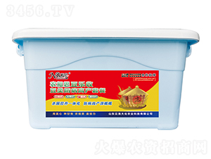 ������I(y��ng)�B(y��ng)�M��-�r(n��ng)��˼��������-�ƺ���