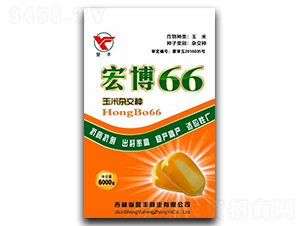 宏博66-玉米種子-譽(yù)豐種業(yè)
