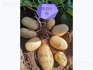 ϣɭ��̖-�R����N��-����N�I(y��)