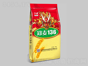國(guó)審鄭麥136（15kg）-小麥種子-帝益麥種業(yè)