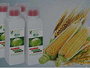 ΢16-΢�������-�����S