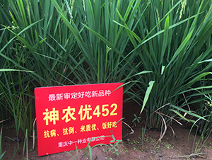 ���r(n��ng)��(y��u)452-ˮ���N��-��һ�N�I(y��)