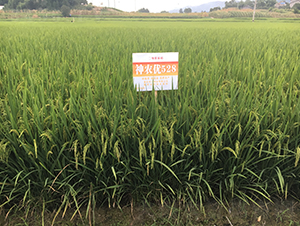 ���r(n��ng)5��(y��u)28-�߳����ʃ�(y��u)�|(zh��)��-��һ�N�I(y��)