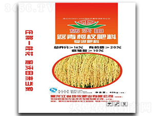 �����辏ͻ����-����-�����r�I(y��)