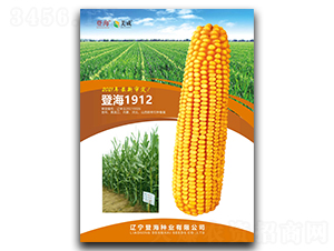 登海1912-玉米種子-登海種業(yè)