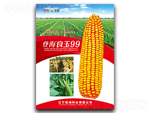 登海良玉99-玉米種子-登海種業(yè)