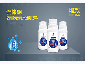 ���w��-�Ķ��S