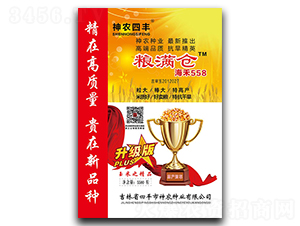 海禾558-玉米種子-神農(nóng)種業(yè)