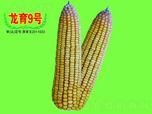 ����9̖-���׷N��-��طN�I(y��)