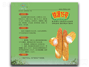 鐵源15號(hào)-玉米種子-大地種業(yè)