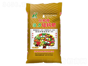 ��(l��)��΢�������}��-���(y��ng)���� 