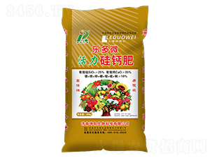 ����΢�������-�������