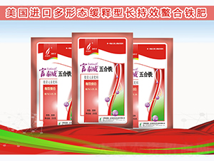 ����F-��̩��-�º��S