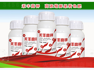 ���S���-�º��S