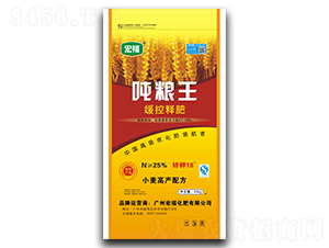 ����ጷ�-���Z��-�������