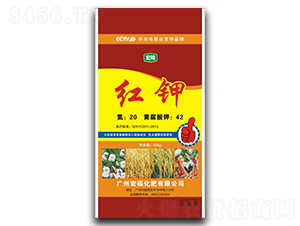 �t�-�������