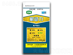 ������-�긣����