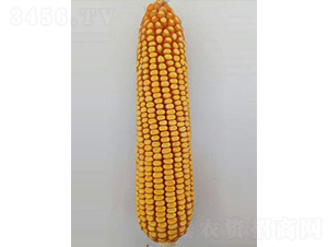 ͨ��1101-���׷N��-��̷N�I(y��)