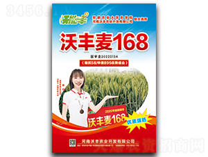 ���S��168-С���N��-�����S