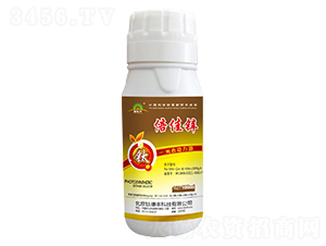 �����\-����S-⁵��S