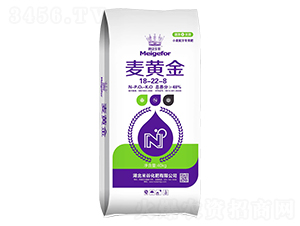 С���䷽���÷�18-22-8-�긣��ʢ