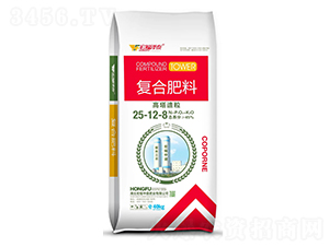 ���������ͺϷ���25-12-8-�긣��ʢ