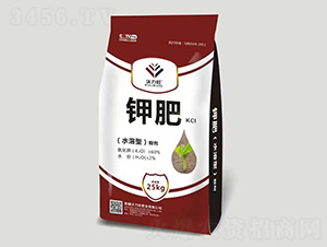 ⛷�-������