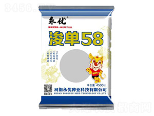 浚單58-玉米種子-永優(yōu)種業(yè)
