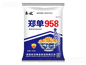 鄭單958玉米種子-永優(yōu)種業(yè)