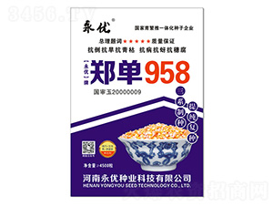 鄭單958（4500粒）-玉米種子-永優(yōu)種業(yè)