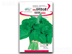 ���~���Ĳ�-���Ĳ˷N��-��(r��n)�P(y��ng)�N�I(y��)